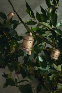 ��ǰ�̹���